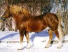 Русская Тяжеловозная